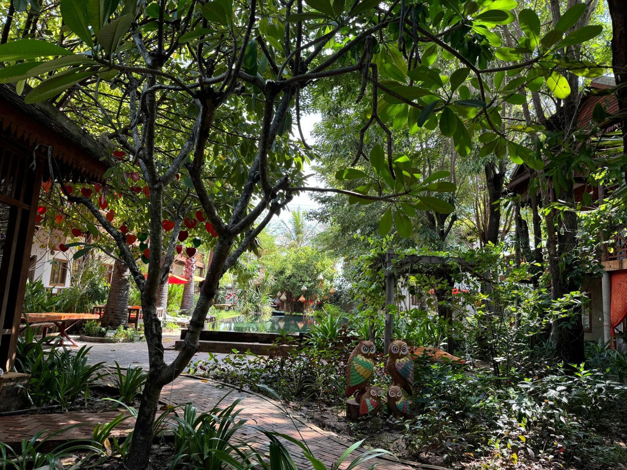 Dontrei Angkor Hotel